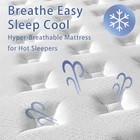 14in Queen Mattress Med. C