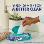Charmin Flushable Wipes B