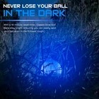 Glow in the Dark Golf Balls F