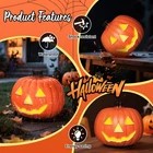 Halloween Light up Pumpkin D