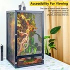 Reptile Terrarium Kit B
