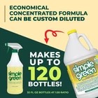 Simple Green Cleaner B