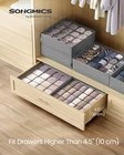 Underwear Organizers B