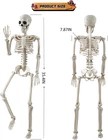 Skeleton Decor C