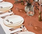Thanksgiving Plates Disposable C