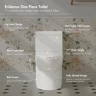 1-Piece Toilet C