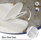 1-Piece Toilet D