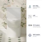 1-Piece Toilet F