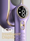 Travel Steamer Purple B